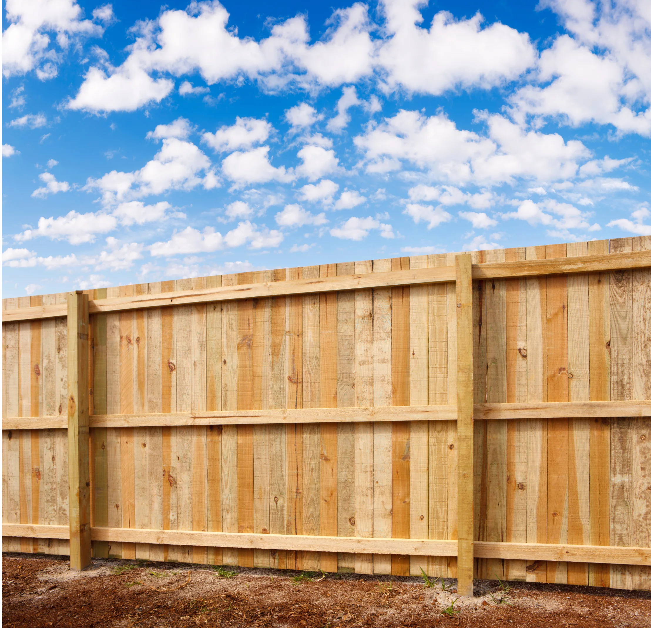 Professional fencing installation in Shellharbour